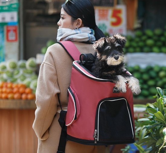 Pet Dog Backpack Carrier for Dogs, Cats & Small Pets