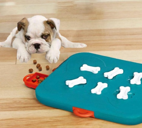 Pet Treasure Hunt Puzzle Toy - Slow Feeder Food Spill Ball - Image 2