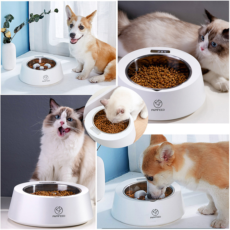 Smart Weighing Slow Feeder Dog Bowl for Cats & Dogs - Image 5