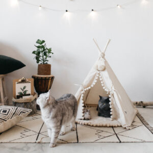 Pet Teepee Tent Bed - Canvas Pine Wood House for Cats and Small Dogs