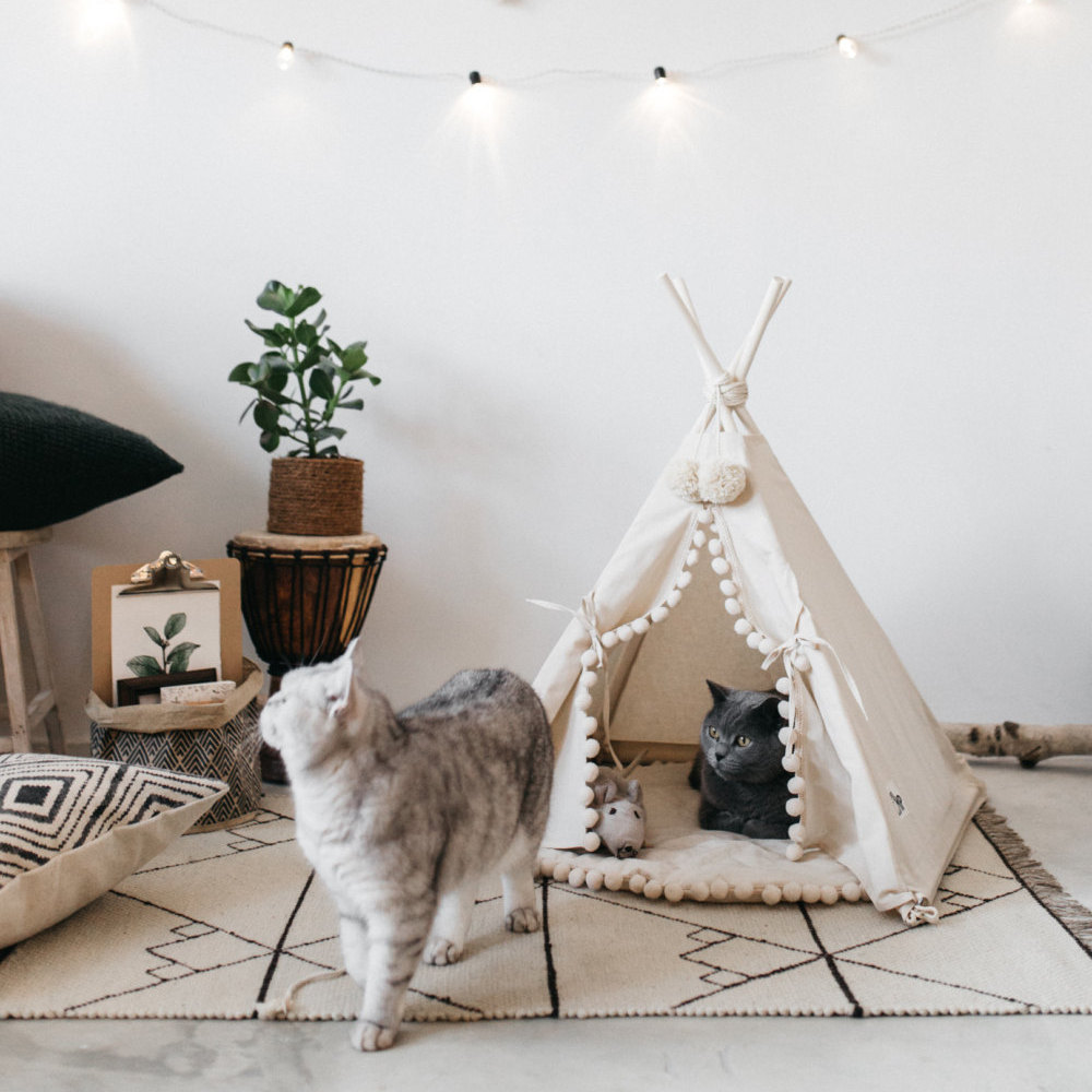 Pet Teepee Tent Bed - Canvas Pine Wood House for Cats and Small Dogs