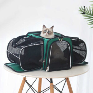 Pet Space Capsule Backpack for Cats & Small Dogs