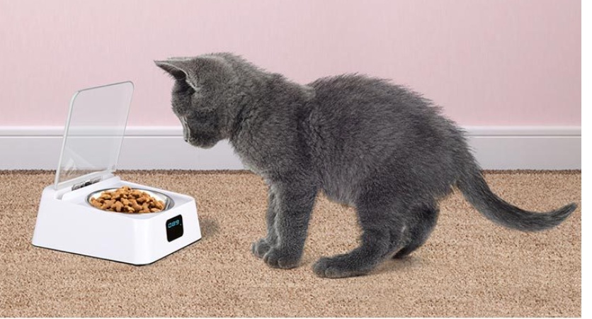 Pet 5G Bowl Automatic Pet Feeder - Compact Smart Bowl - Image 5