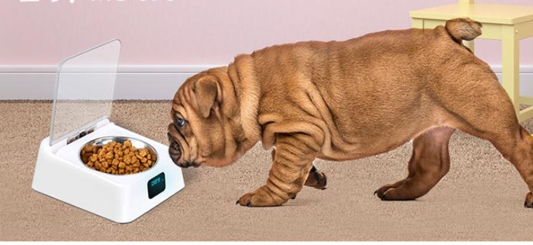Pet 5G Bowl Automatic Pet Feeder - Compact Smart Bowl - Image 4
