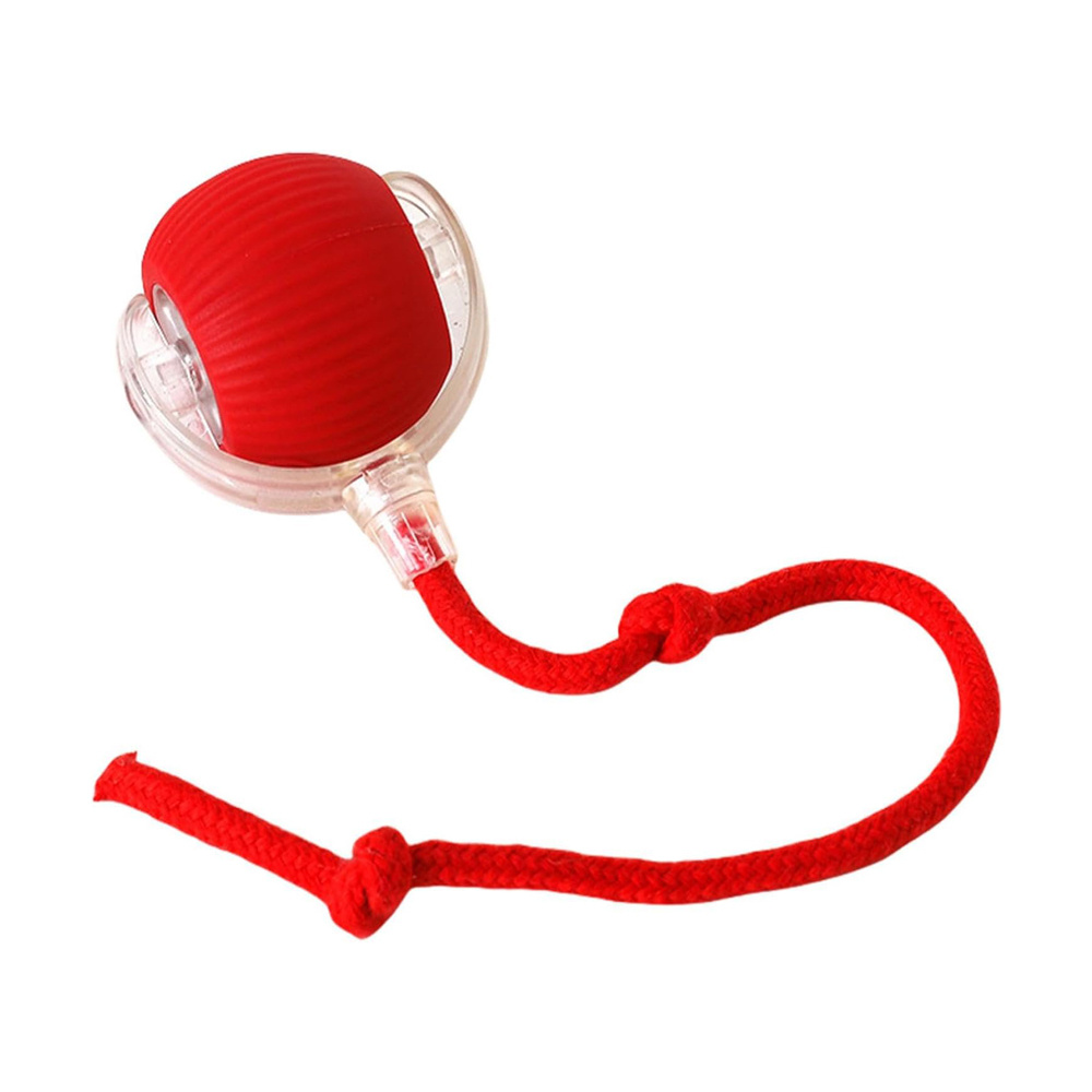 Motion Activated Cat Ball – Rolling Toy for Cats - Image 3