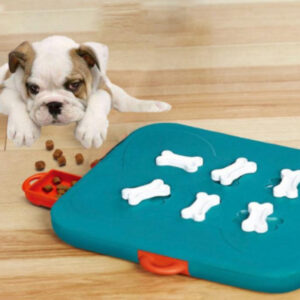 Pet Treasure Hunt Puzzle Toy - Slow Feeder Food Spill Ball